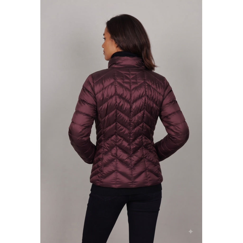Junge Daisy Kv. 62 38-Wine