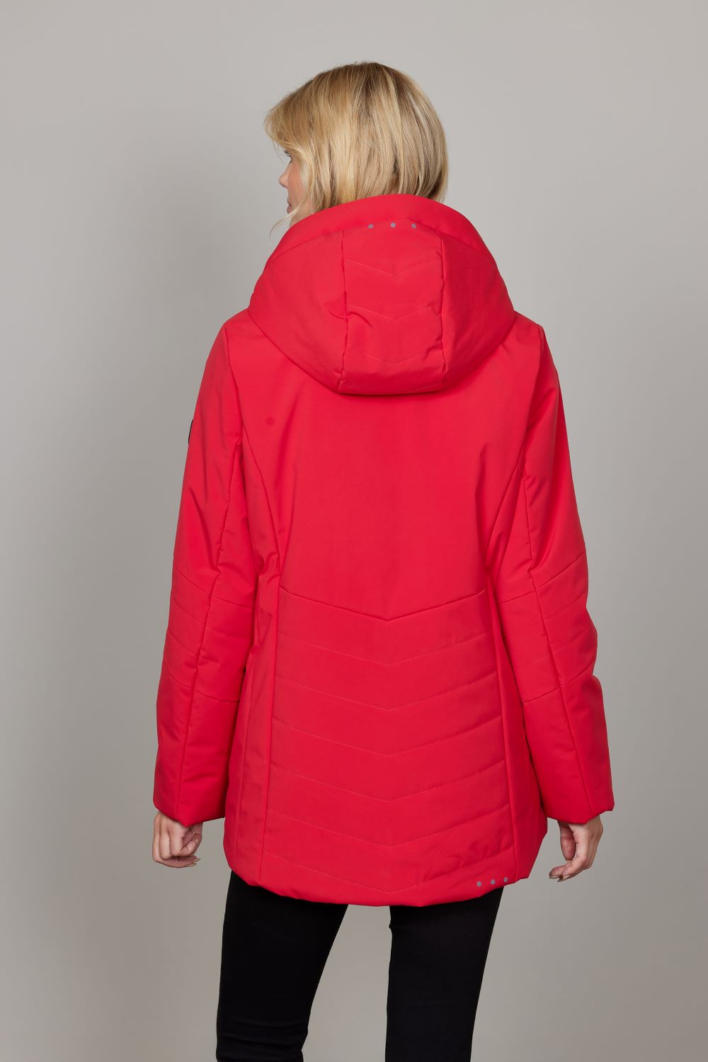 Junge Morgan Kv. 88 30-Red