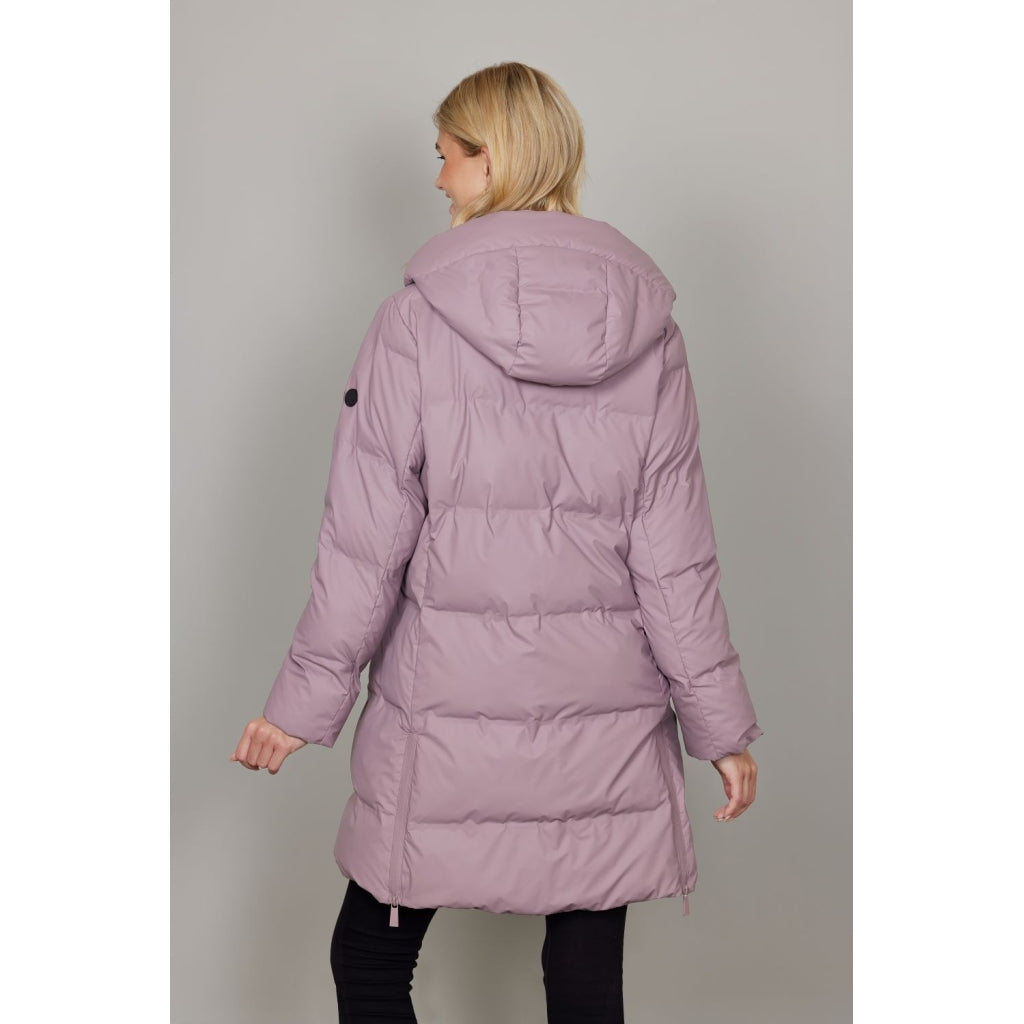 Junge Myrna Kv. 90 33-Rose