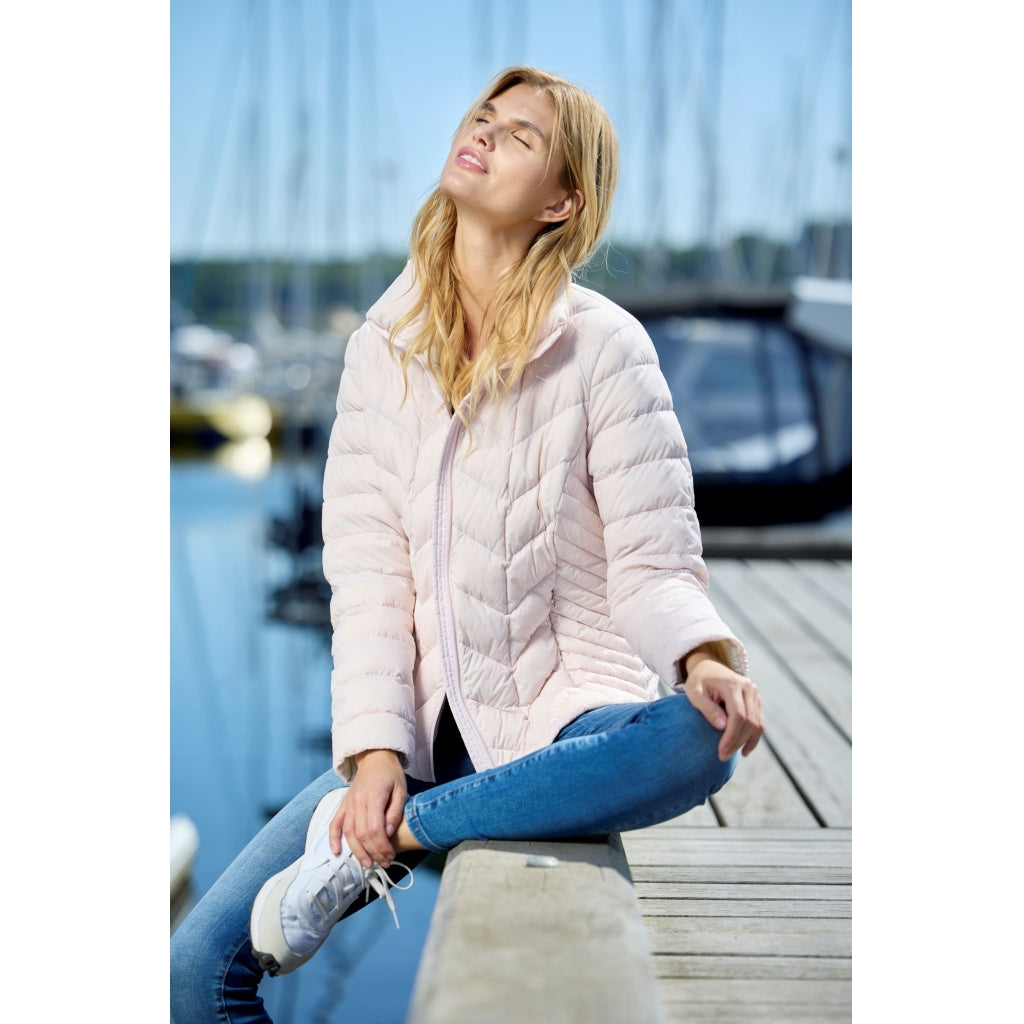 Junge Daisy Kv. 60 33-Rose