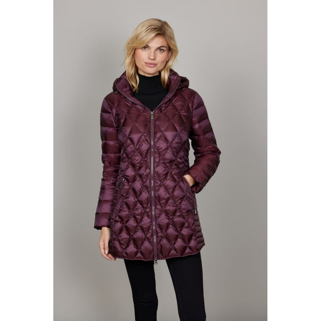 Junge Mikkeline Kv. 62 38-Wine